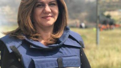 الجزيرة