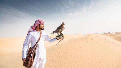 exploring the best desert adventures and outdoor experiences in Doha