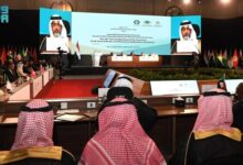 how do economic challenges shape Arab societies?