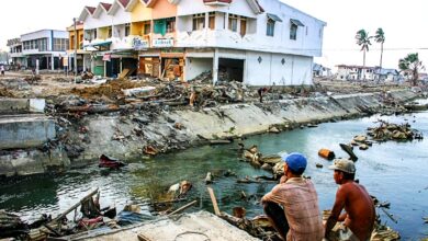 the impact of climate change on international migration
