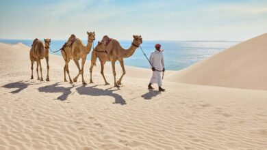 the influence of Bedouin traditions on Doha’s contemporary lifestyle