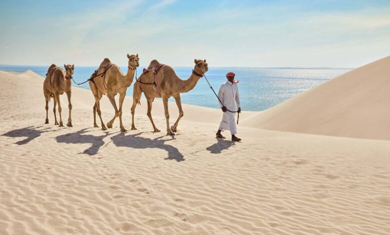 the influence of Bedouin traditions on Doha’s contemporary lifestyle